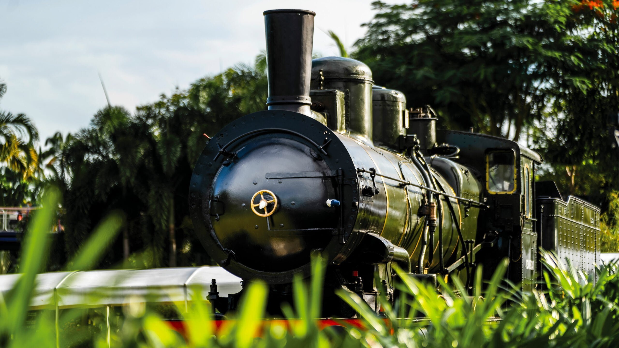 First look: Original Orient Express train arrives at Singapore's Gardens by  the Bay