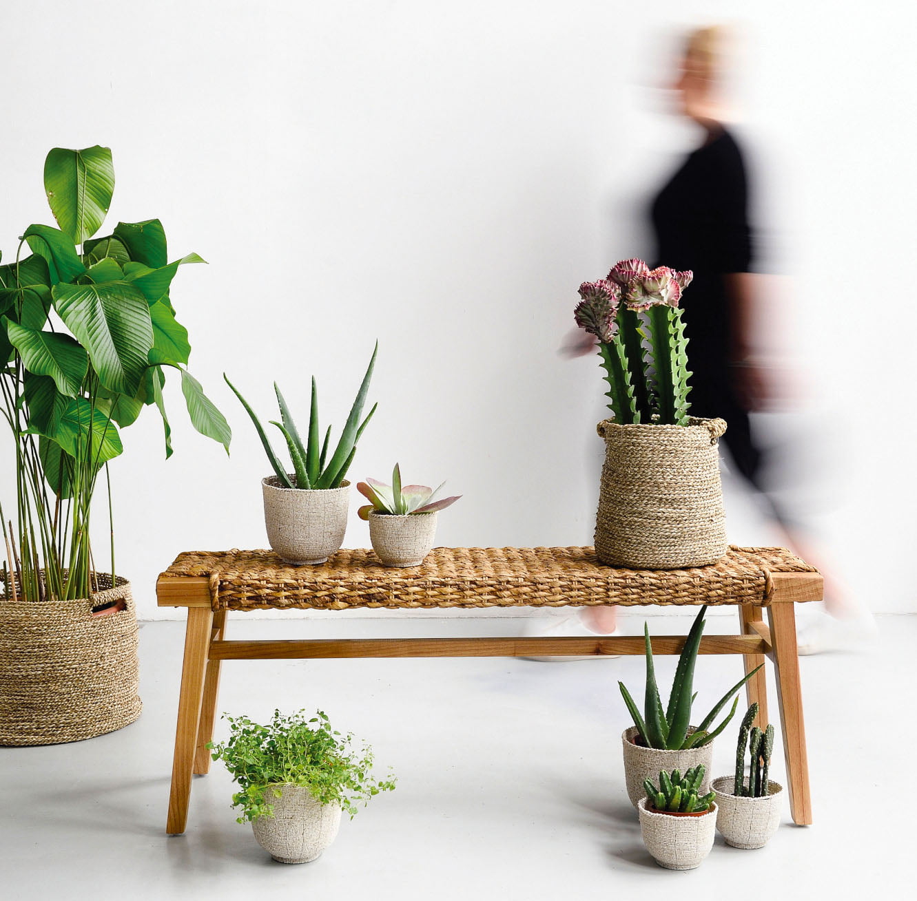 Abaca Bench from Island Living