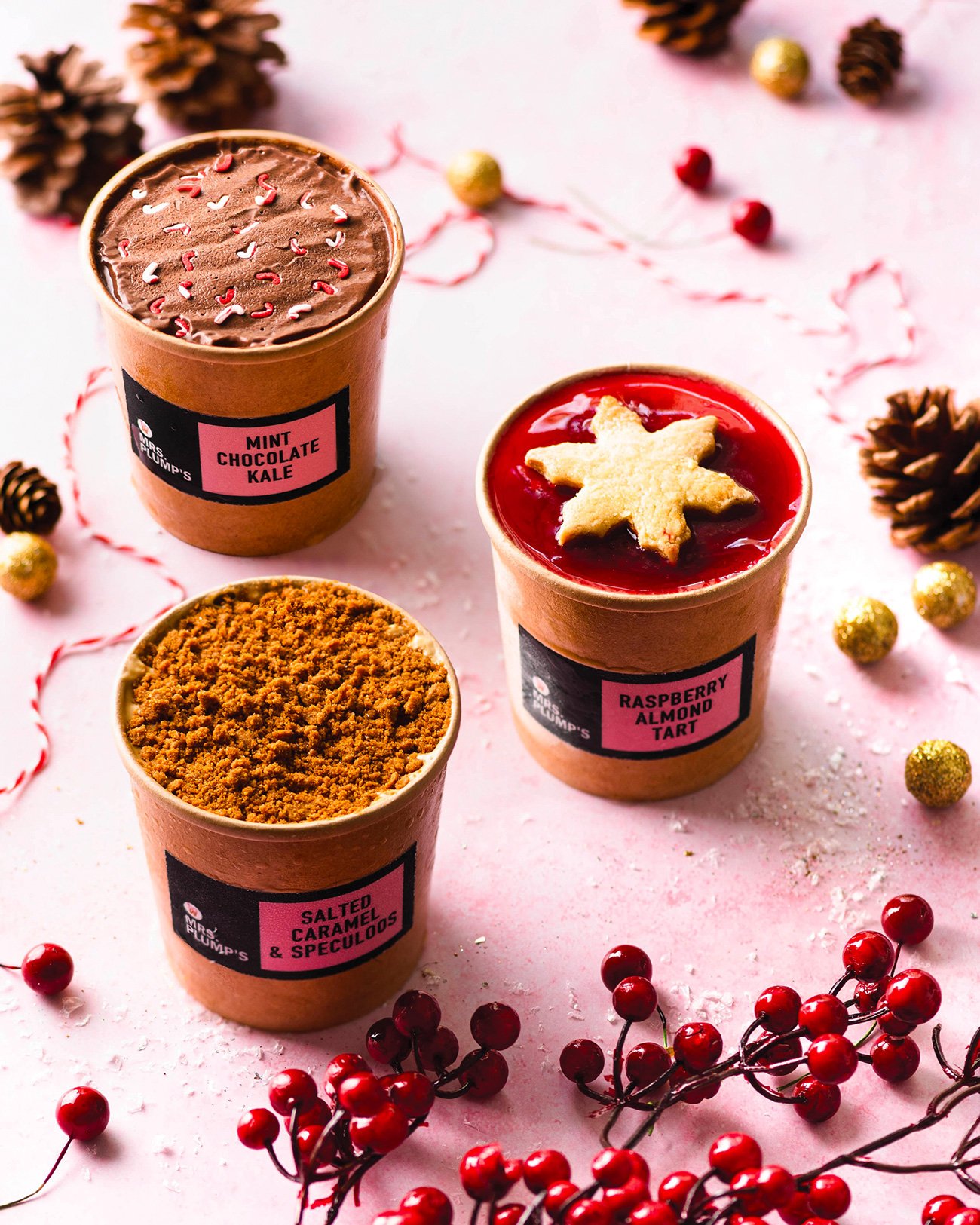 Mrs Plump Christmas Ice Cream pints