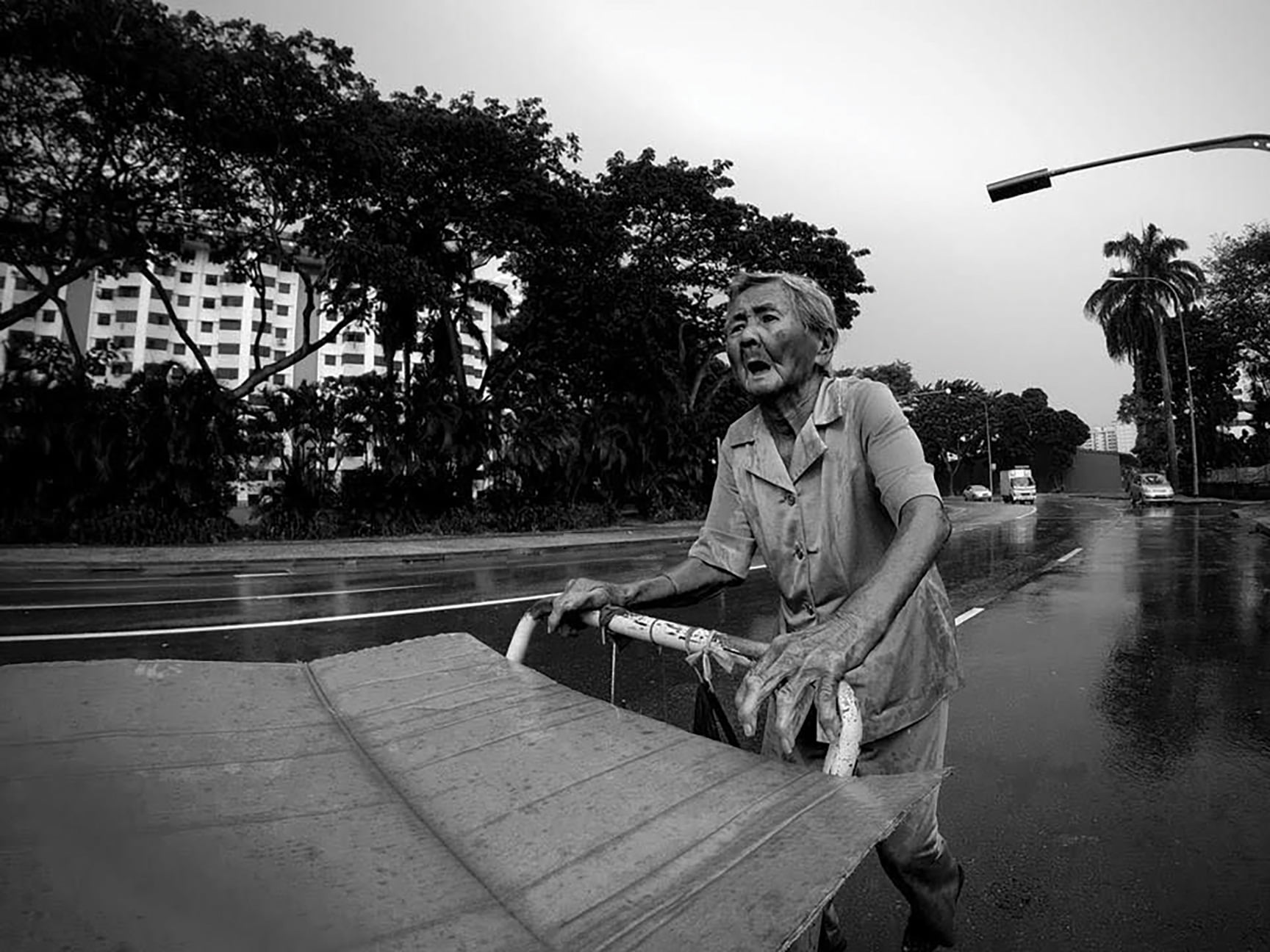 Happy-People-Helping-People-Black-and-white-cardboard-collector-pushing-trolley