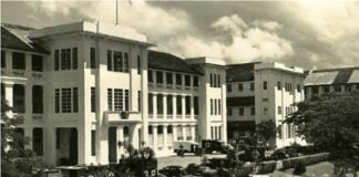 The Bleeding Slaughterhouse_Alexandra_Hospital_Singapore
