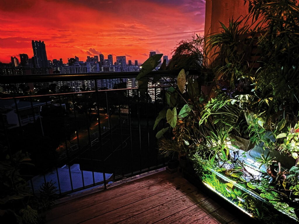 indoor garden in HDB balcony