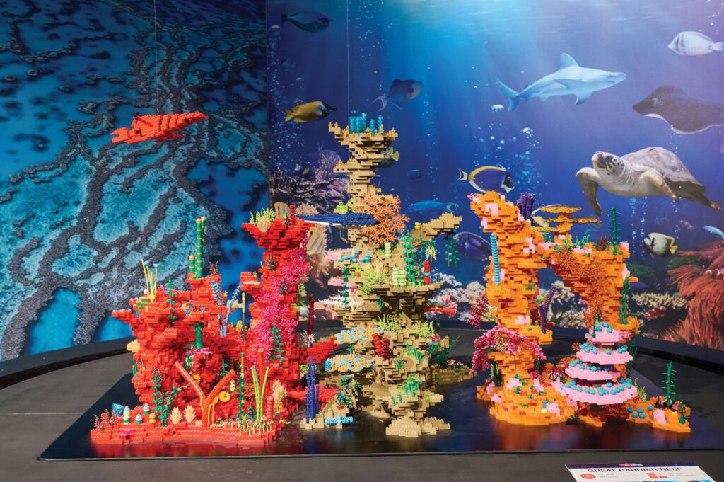 Lego structure of the Great Barrier Reefs