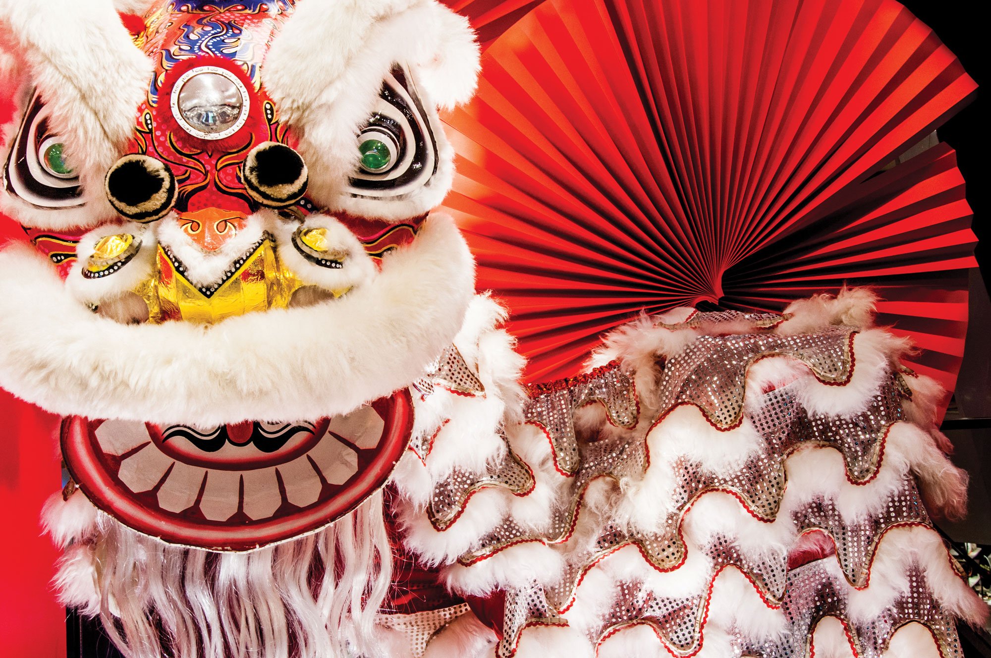 Unleash the Roar How to Experience the Best Lion Dance Performance for