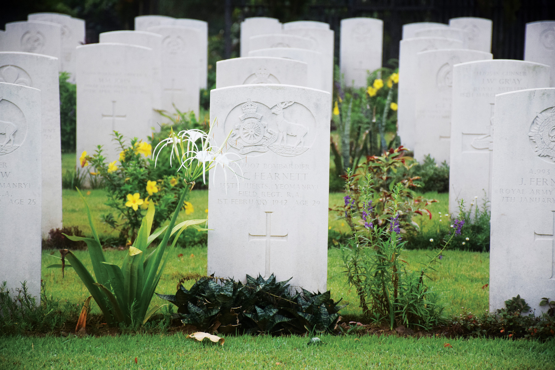 grave at ANZAC Mandai