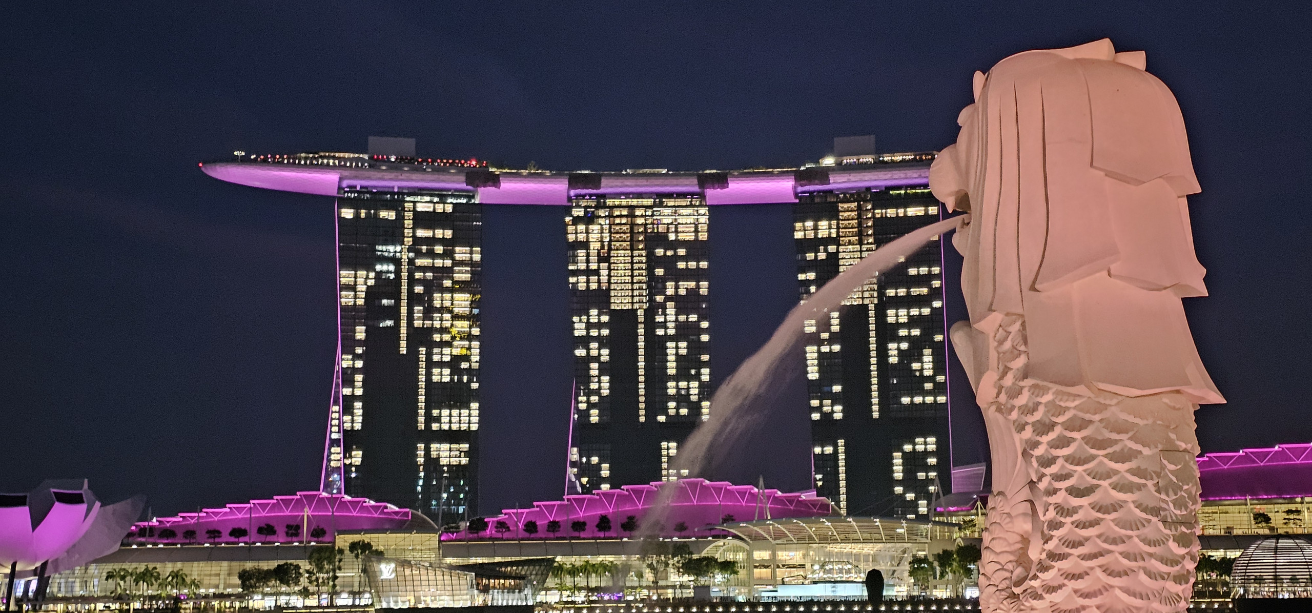 Singapore Merlion statue with Marina Bay Sands illuminated in pink at night, overlooking the waterfront skyline.